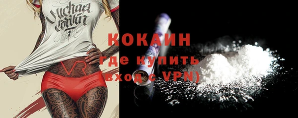молекула духа Горно-Алтайск