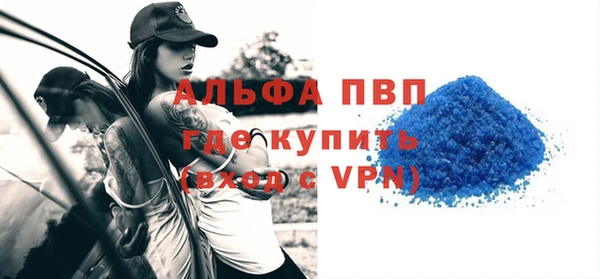 СК Вязьма