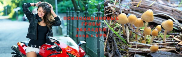 мет Горнозаводск